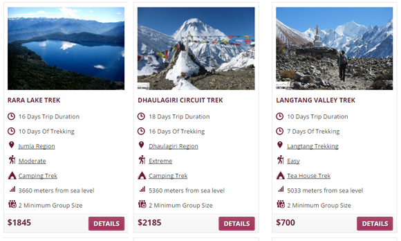 Travel Trekking Website Design