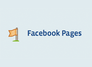 manage facebook page Nepal